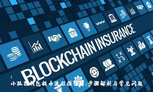 :
小狐狸钱包提币流程图详解：步骤解析与常见问题