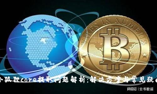 小狐狸core提取问题解析：解决方案与常见疑问